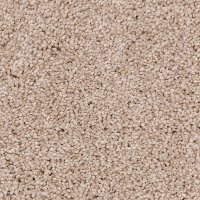 PHN.COASTAL Phenix Stainmaster Coastal Carpet