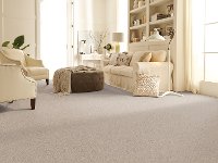 PHN.COASTAL Phenix Stainmaster Coastal Carpet-2