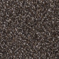 Phenix Stoneybrook II Carpet