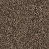 Dream Weaver Step Up Carpet