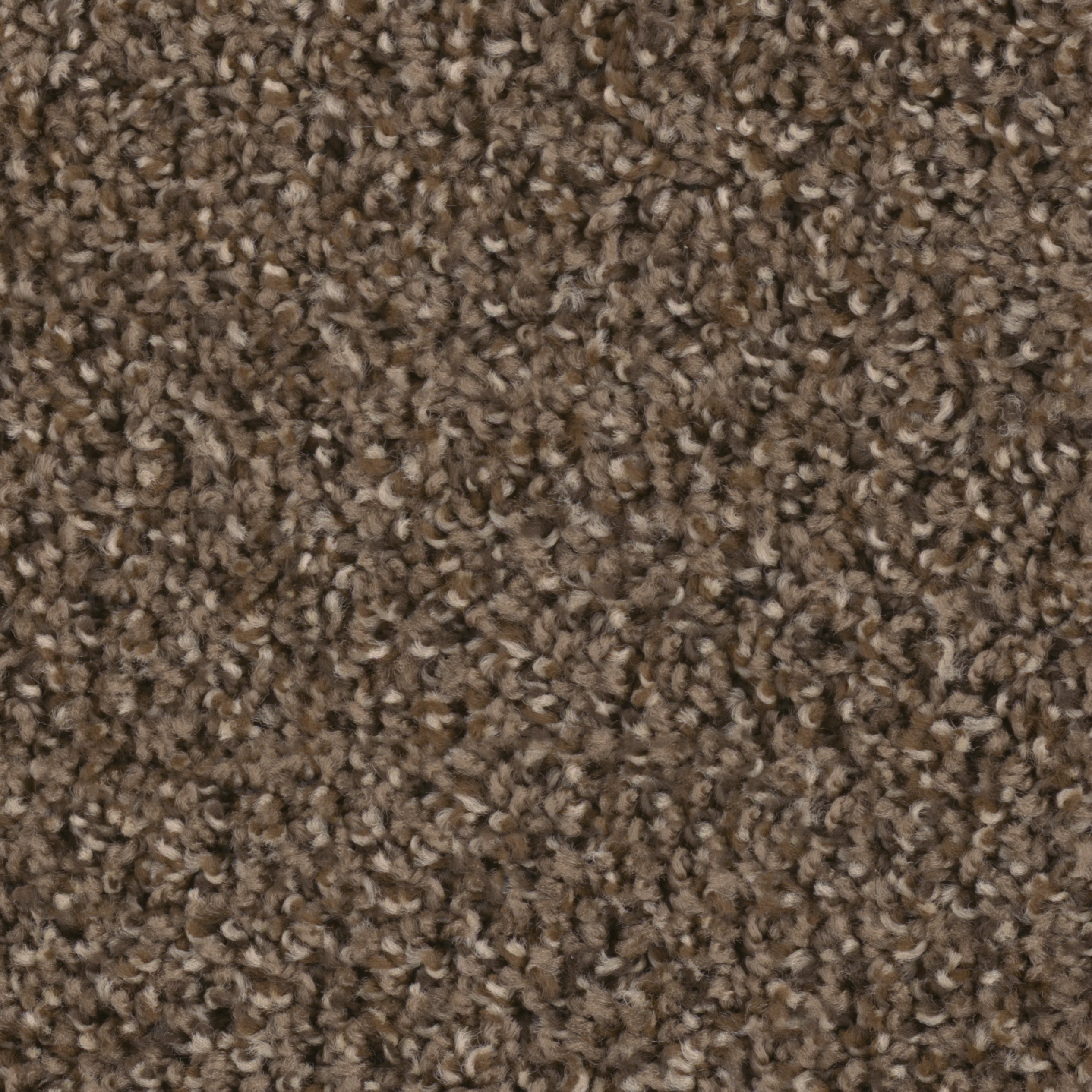 DWC.STEP.UP.STOCK Dream Weaver Step Up Carpet -1