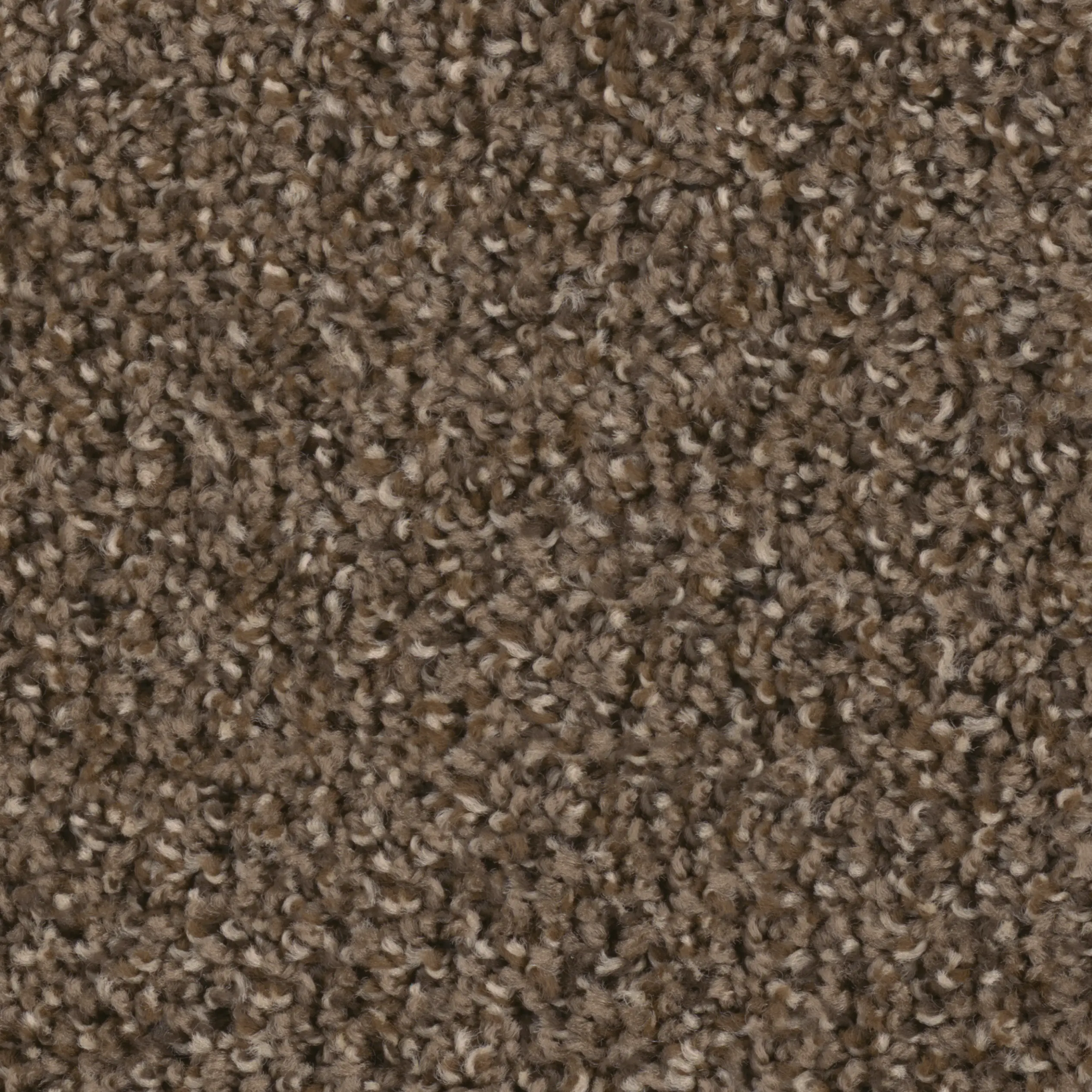 DWC.STEP.UP.STOCK Dream Weaver Step Up Carpet -1