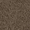 DWC.STEP.UP.STOCK Dream Weaver Step Up Carpet