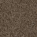 DWC.STEP.UP.STOCK Dream Weaver Step Up Carpet