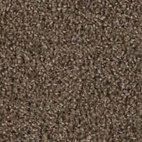 DWC.STEP.UP.STOCK Dream Weaver Step Up Carpet
