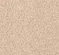 DWC.SHOW.TIME.STOCK Dream Weaver Show Time Carpet