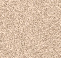 DWC.SHOW.TIME.STOCK Dream Weaver Show Time Carpet