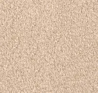 DWC.SHOW.TIME.STOCK Dream Weaver Show Time Carpet