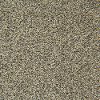 GULI.NORWALK Gulistan Stainmaster Norwalk Carpet
