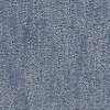BRE.LEGACY Dixie Stainmaster Legacy Carpet
