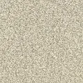 BRE.MORNING.REFLECTIONS Dixie Morning Reflections Carpet