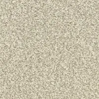 BRE.MORNING.REFLECTIONS Dixie Morning Reflections Carpet