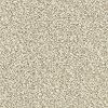 Dixie Stainmaster Morning Reflections Carpet