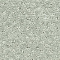 Dixie Stainmaster Refinement Carpet