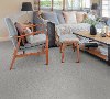Dixie Stainmaster Refinement Carpet-2