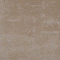 Dixie Stainmaster Bountiful Carpet