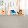 Dixie Stainmaster Bountiful Carpet -2