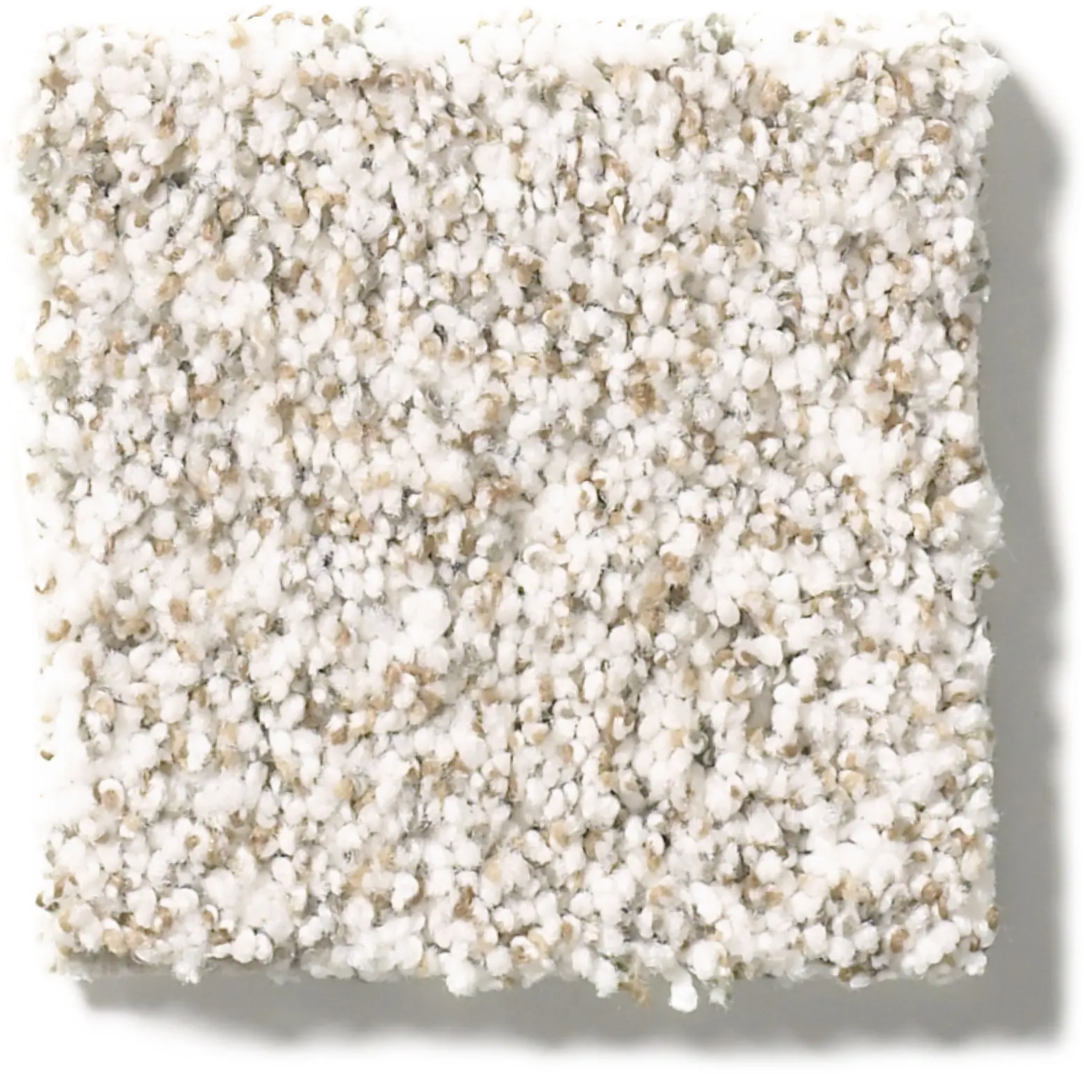 PHL.PRIVY Shaw Privy Carpet-1