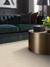 Shaw Craftsman Carpet-2