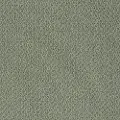 PHL.CULTURE.CLUB Shaw Culture Club Carpet