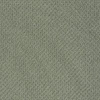 PHL.CULTURE.CLUB Shaw Culture Club Carpet