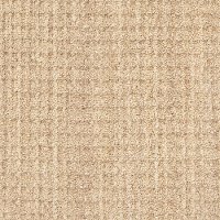 PHL.NATURAL.ELEMENTS Shaw Natural Elements Carpet
