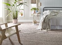 PHL.NATURAL.ELEMENTS Shaw Natural Elements Carpet-2
