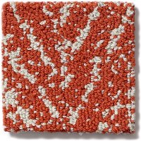 Shaw Outstanding Carpet