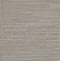 Dixie Stainmaster Golden Shores Carpet