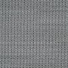 BRE.IMPERIAL.POINT Dixie Stainmaster Imperial Point Carpet