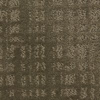 Dixie Stainmaster Swift Current Carpet