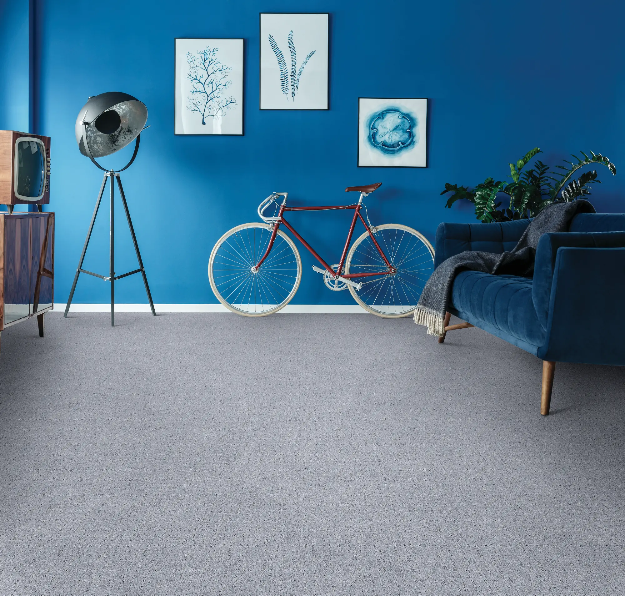 BRE.SWIFT.CURRENT Dixie Swift Current Carpet -2