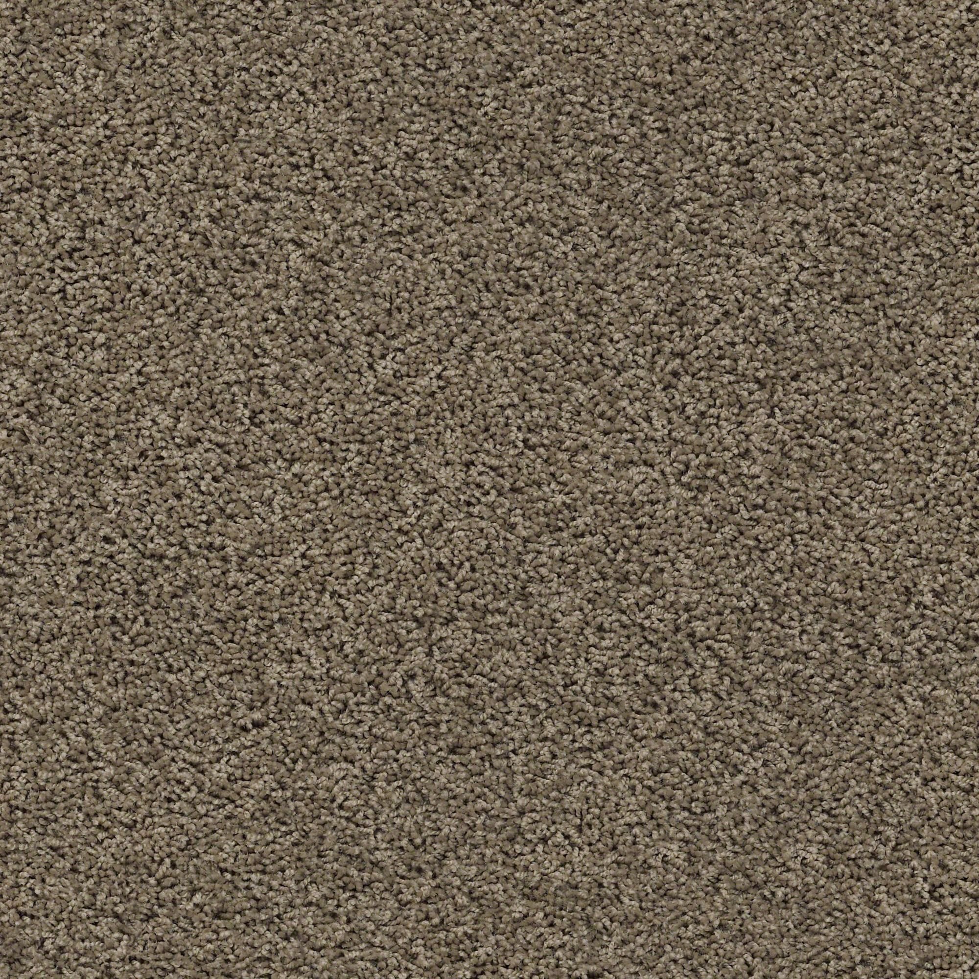 DSW.DEL.MORRO Tuftex Del Morro Carpet-1