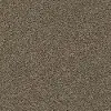 DSW.DEL.MORRO Tuftex Del Morro Carpet