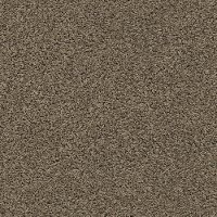 DSW.DEL.MORRO Tuftex Del Morro Carpet