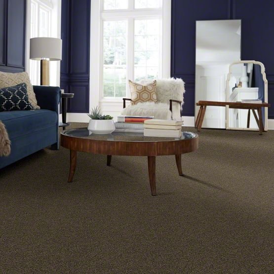 DSW.DEL.MORRO Tuftex Del Morro Carpet-2