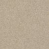 DSW.THE.BARK.SIDE.II.STOCK Tuftex Stainmaster The Bark Side II Carpet