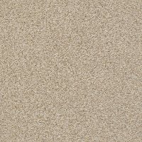 DSW.THE.BARK.SIDE.II.STOCK Tuftex Stainmaster The Bark Side II Carpet