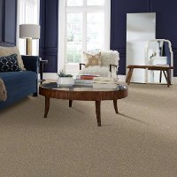 DSW.THE.BARK.SIDE.II.STOCK Tuftex Stainmaster The Bark Side II Carpet-2