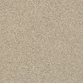 DSW.THE.BARK.SIDE.II.STOCK Tuftex The Bark Side II Carpet
