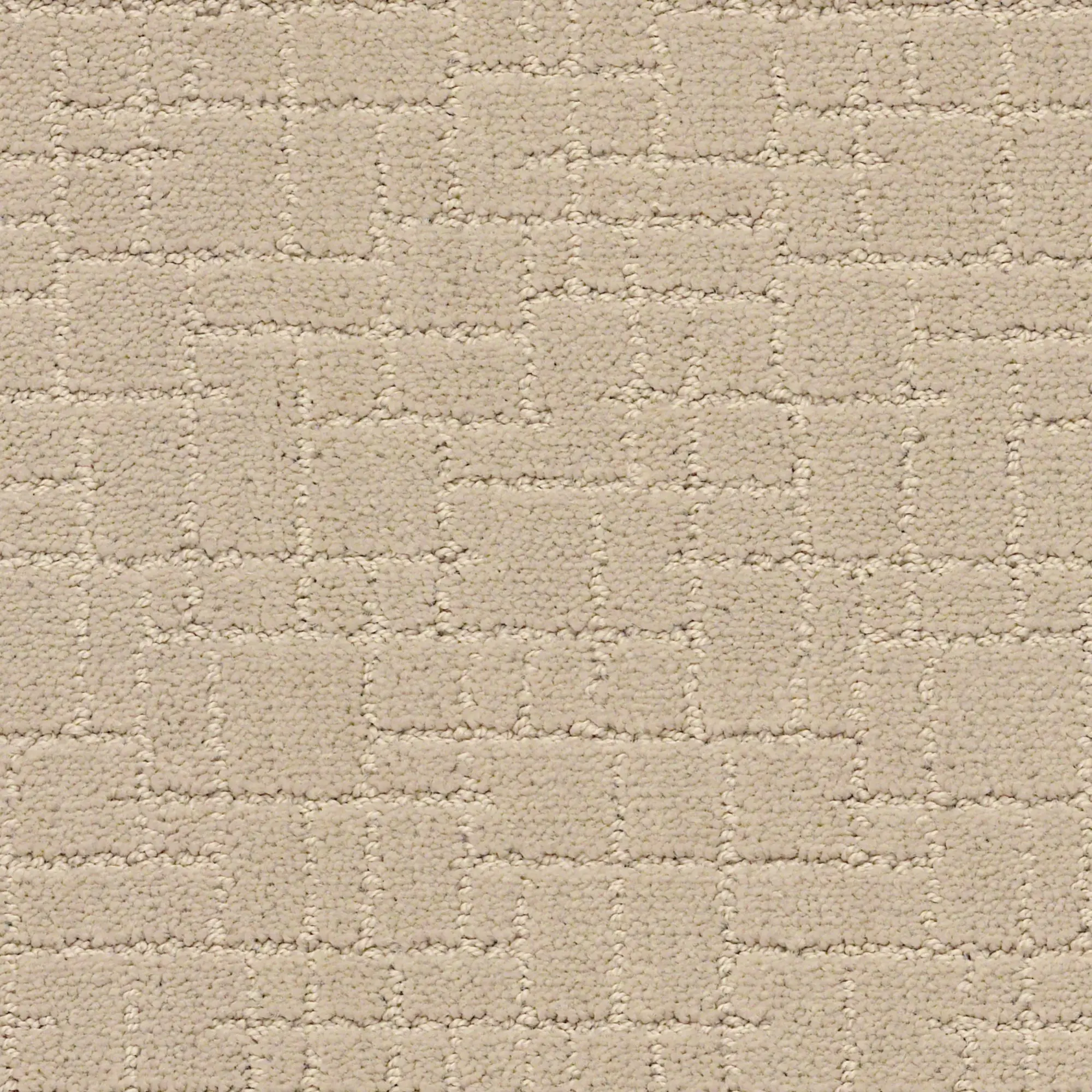 DSW.FAUX.PAW.STOCK Tuftex Faux Paw Carpet-1