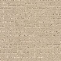 DSW.FAUX.PAW.STOCK Tuftex Faux Paw Carpet