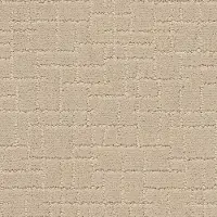 DSW.FAUX.PAW.STOCK Tuftex Faux Paw Carpet
