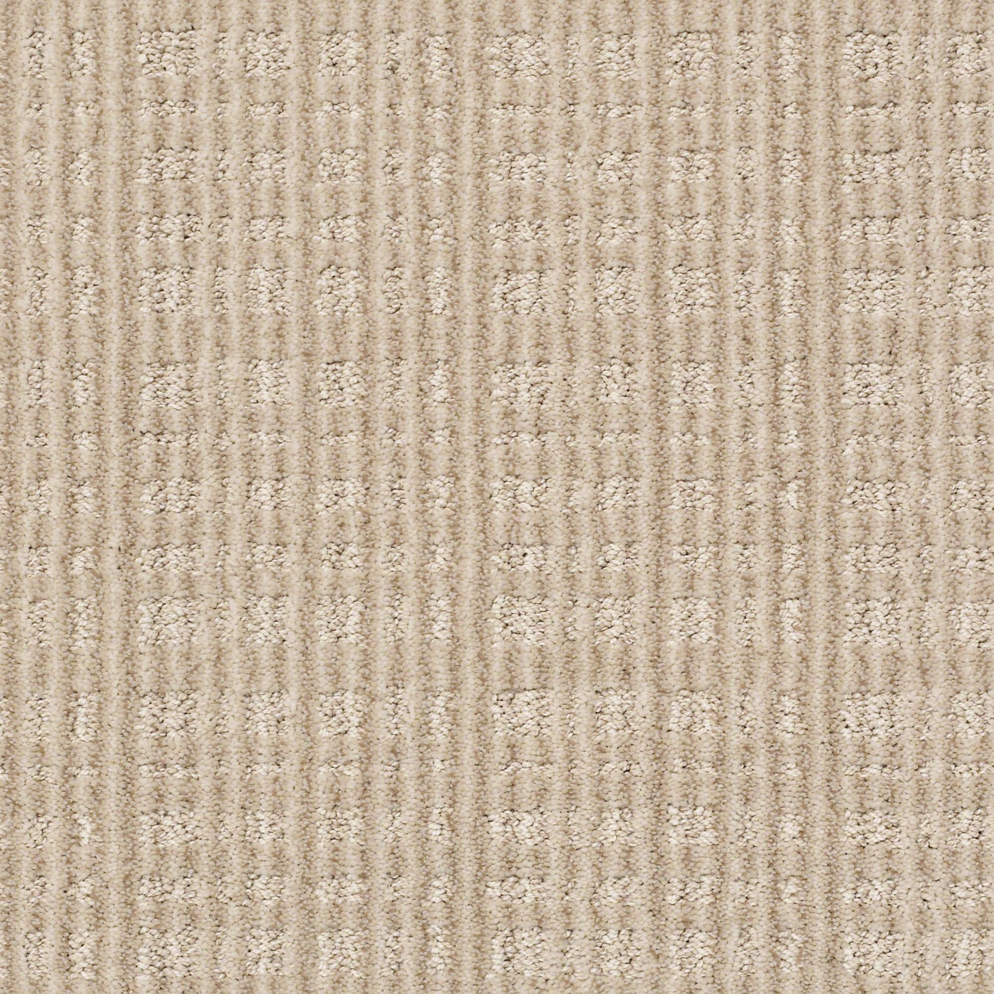 DSW.PURRSUASION.STOCK Tuftex Purrsuasion Carpet-1