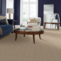 DSW.PURRSUASION.STOCK Tuftex Stainmaster Purrsuasion Carpet-2