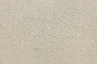 BRE.LEADERBOARD Dixie Home Leaderboard Carpet