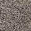 PHN.GLISTEN Phenix Stainmaster Glisten Carpet