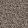 PHN.VENICE.BLVD Phenix Stainmaster Venice Boulevard Carpet