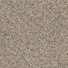 PHN.VENTURA.BLVD Phenix Stainmaster Ventura Boulevard Carpet