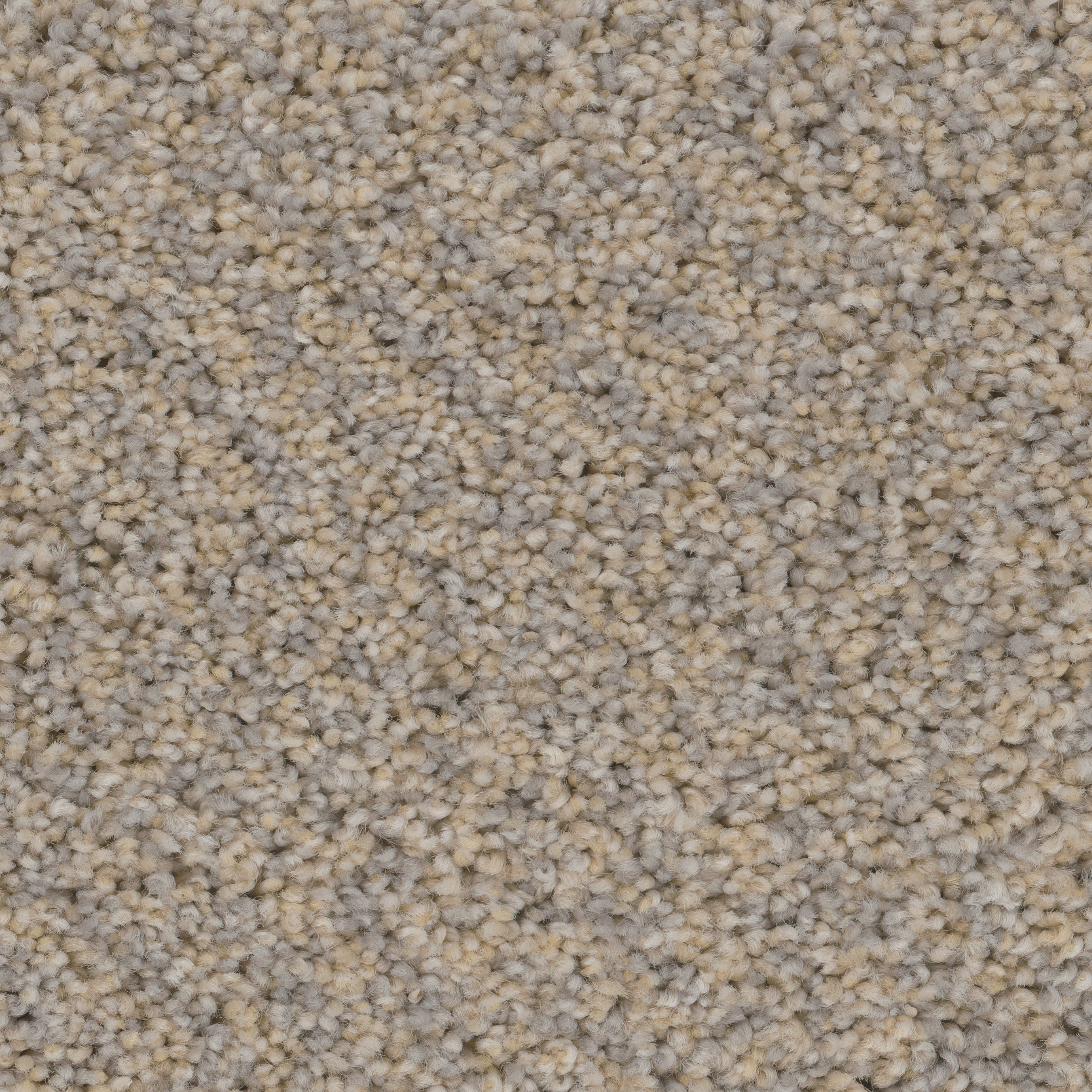 PHN.SANTA.MONICA Phenix Santa Monica Carpet-1